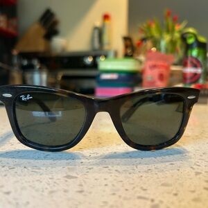 Wayfarer Tortoise Shell Sunglasses
